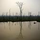 A burnt area of the Amazon rainforest is pictured near Abuna, Rondonia state, Brazil, on August 24, 2019