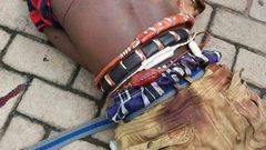 Highway rubber gunned down