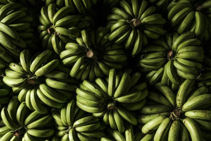 The cocaine was packed in bricks wrapped in metal foil and hidden inside a shipment of bananas