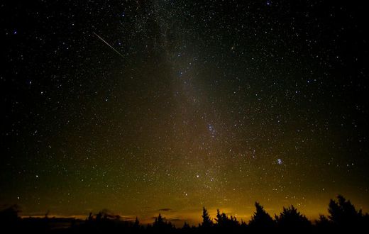 Perseids Meteor Shower Will Peak in Night Skies