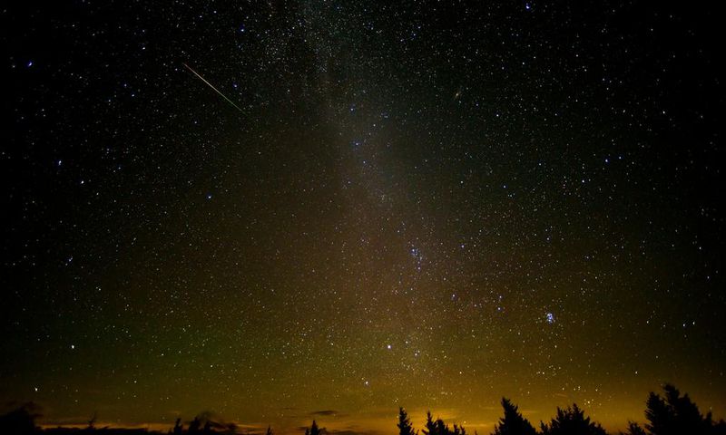 Perseids Meteor Shower Will Peak in Night Skies