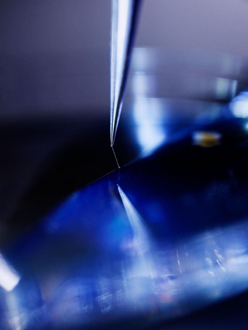 A segment of a single muscle fiber after its been extracted and separated at Galpins lab.