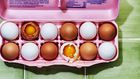 What’s The Difference Between White & Brown Eggs?