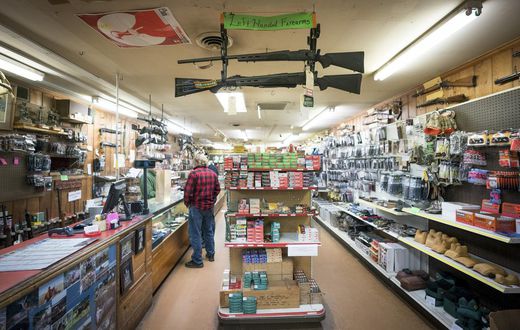 Gun Ownership Rates Tied to Domestic Homicides, but Not Other Killings, Study Finds