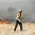 Some 350 firefighters backed by around 230 soldiers and 15 aerial tanker aircraft fought the blaze, the worst in Catalonia in 20 years