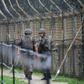 The four-kilometre-wide DMZ runs for 250 kilometres (160 miles) across the Korean peninsula