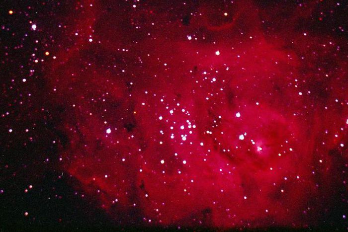 What Does It Mean If You're A Cardinal Sign?