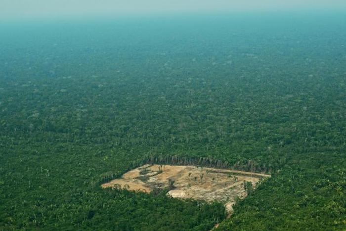 Brazil's National Institute for Space Research (INPE) said about 2,254 square kilometers (870 square miles) of the Amazon were cleared in July, a hike of 278 percent from a year earlier