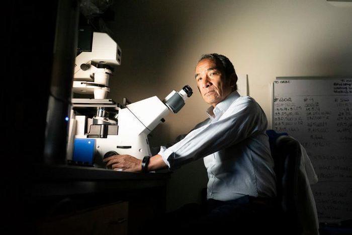 What you need to know about resistant urinary tract infections