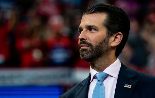 Donald Trump Jr. Shares, Then Deletes, a Tweet Questioning Kamala Harris' Race