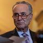 Schumer is not the only Democrat who is worried