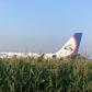 The Ural Airlines A321, carrying 226 passengers and seven crew, came down in a corn field