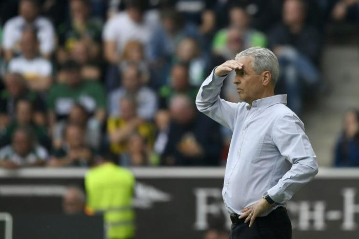 Dortmund's Swiss coach Lucien Favre has extended his contract until 2021, the club announced on Tuesday