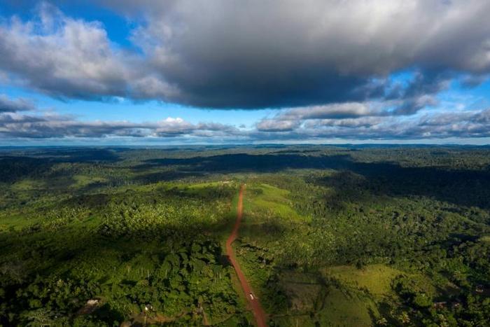 There are fears there is not enough land to sustainably feed 10 billion people while offsetting the worst effects of climate change