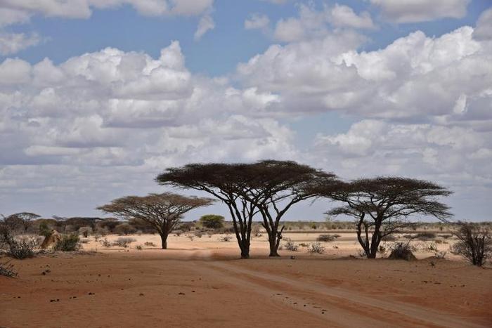 Wajir county is frequently targeted in attacks by Islamist Al-Shabaab insurgents