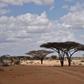 Wajir county is frequently targeted in attacks by Islamist Al-Shabaab insurgents