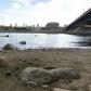 Drought means that the Vistula river is flowing through the capital Warsaw at its lowest water level for years. And it isn't alone, hundreds of rivers and in Poland are drying up little by little