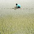Vast swathes of India have been sweltering in extreme temperatures with the delayed onset of the monsoon rains adding to farmers' misery