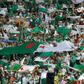 Thousands of Algeria fans have followed their country at this year's African Cup of Nations