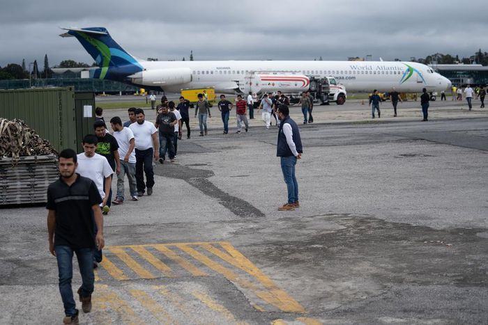 Immigration Agency Says It Plans Deportation Operation Aimed at Undocumented Families