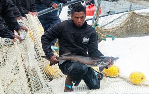 The sturgeon that produce the caviar roe are kept in Lake Mantasoa, perched at an altitude of 1,400 metres east of the capital Antananarivo