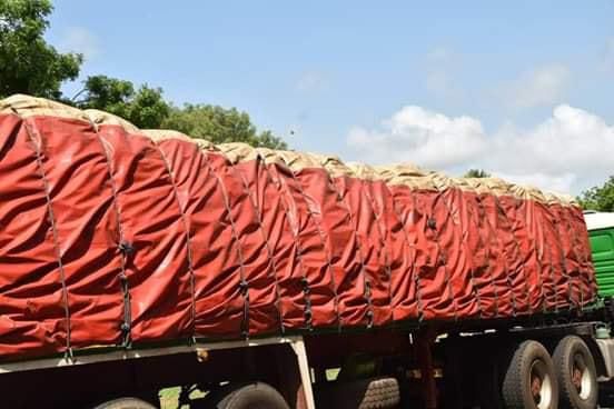 Planting for Food and Jobs fertilizer