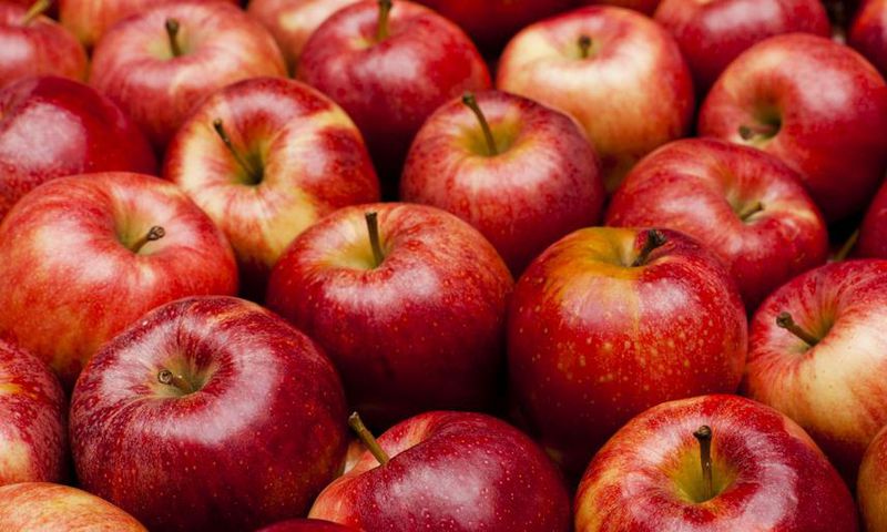 How Many Calories Are In An Apple?