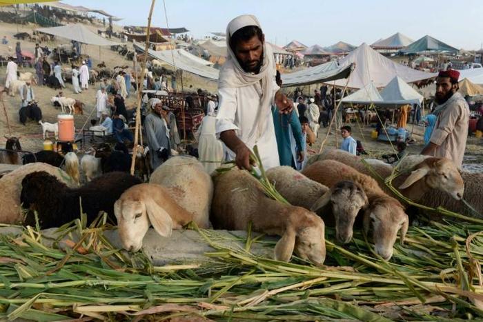 A key question looms over Eid preparations in Afghanistan: is peace about to come after four decades of war?