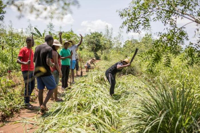The programme aims to teach basic, traditional ways of agriculture to those who have forgotten or never known a life on the land