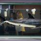 Mako sharks are often targeted for their fins which are used in shark fin soup