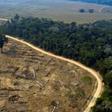Thousands of troops and firefighters have been deployed to combat the fires devouring chunks of the Amazon