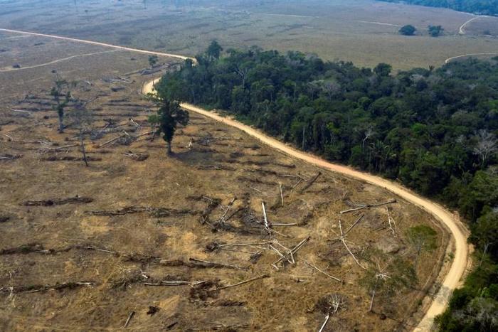 Thousands of troops and firefighters have been deployed to combat the fires devouring chunks of the Amazon