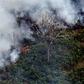 A piece of land burns in the Amazon rainforest, about 65 kilometres from Porto Velho in northern Brazil's Rondonia state, on August 23, 2019