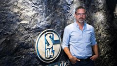 At the coalface: having steered former club Huddersfield to the Premier League, David Wagner has his work cut out turning around the fortunes of his new Bundesliga team Schalke 04.