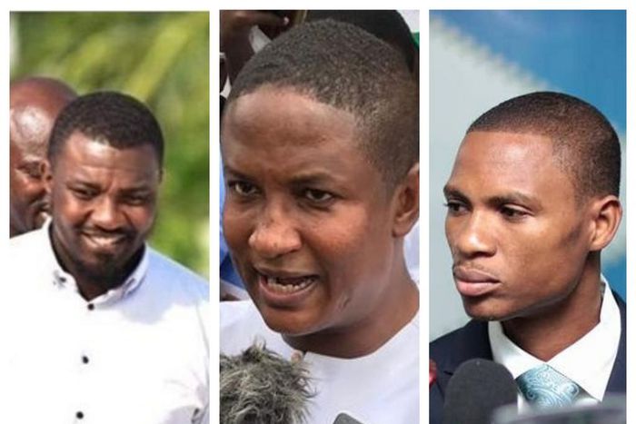 NDC parliamentary candidates who might win 2020