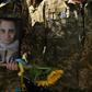 The five-year war in east Ukraine against Russia-backed separatists has claimed some 13,000 lives