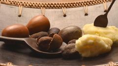 Shea butter  (Credit - organicbrands.gr )
