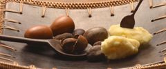 Shea butter  (Credit - organicbrands.gr )