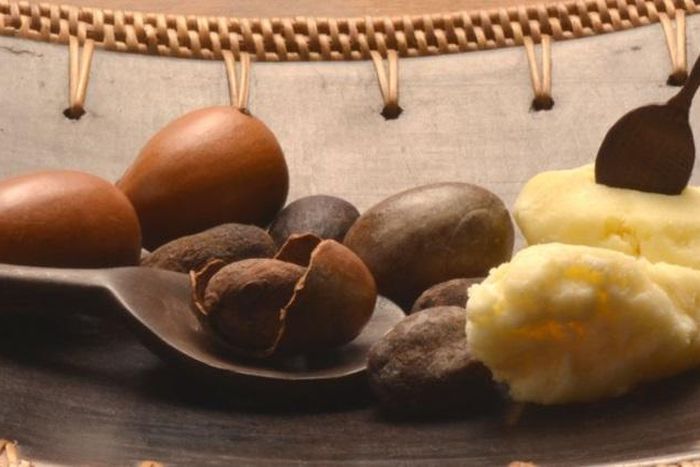 Shea butter  (Credit - organicbrands.gr )