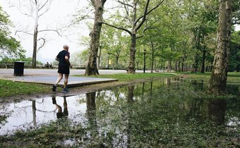 Flooding in Riverside Park: Good for Ducks. Bad for Amtrak Trains Below?