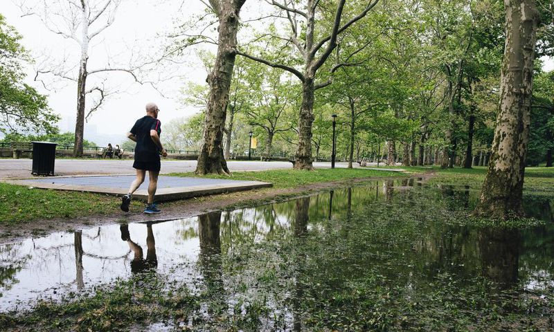 Flooding in Riverside Park: Good for Ducks. Bad for Amtrak Trains Below?