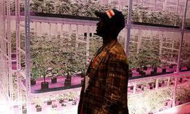 Marijuana legalization isn't dead yet in New York