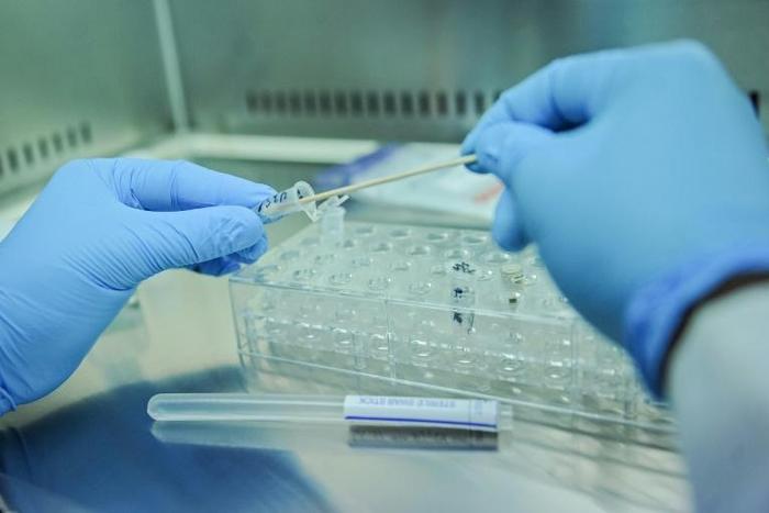 Forensic DNA testing could help Australian police connect human remains to a missing French backpacker