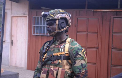 Akufo-Addo has new bodyguards and they look fearsome