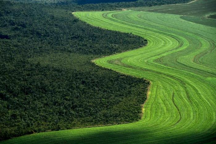 The IPCC special report on land use is expected to warn how industrialised food chains, rampant resource exploitation, and even efforts to stave off the worst effects of global warming, are jeopardising our future ability to feed ourselves