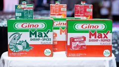 Gino MAX launched