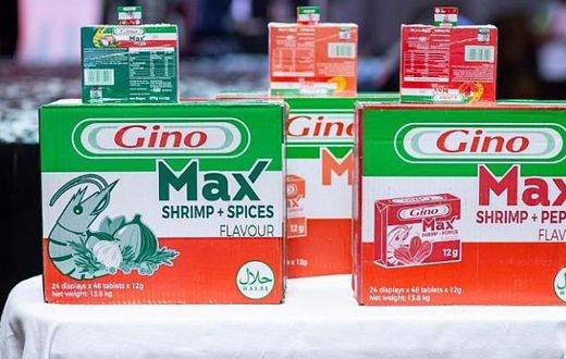 Gino MAX launched