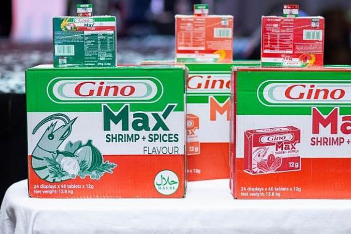 Gino MAX launched