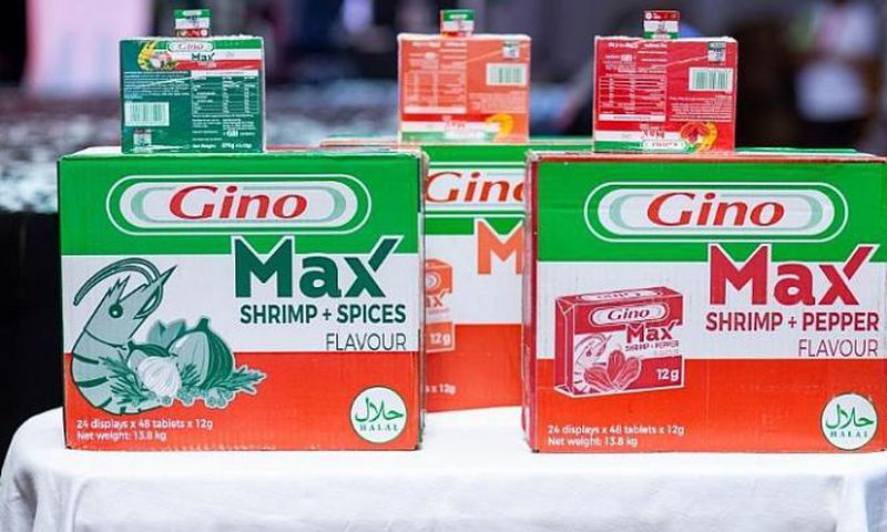 Gino MAX launched