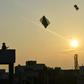 The number of deaths and injuries from kite flying in India jumps around Independence Day